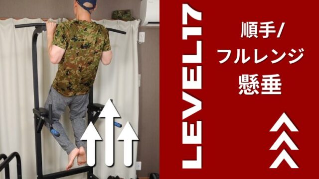 順手/フルレンジ懸垂